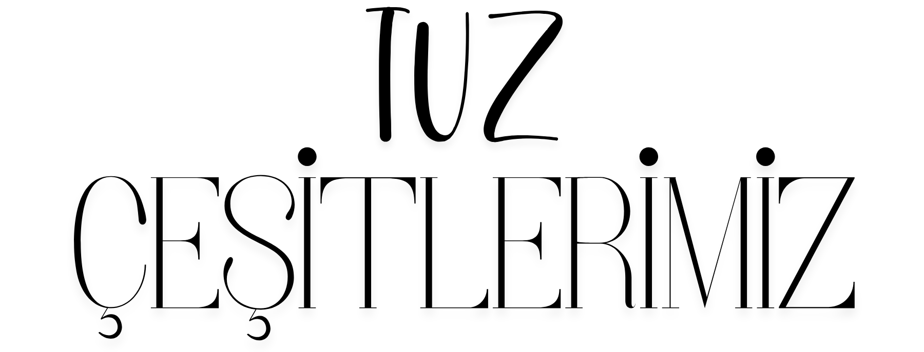 TuzCesitleri