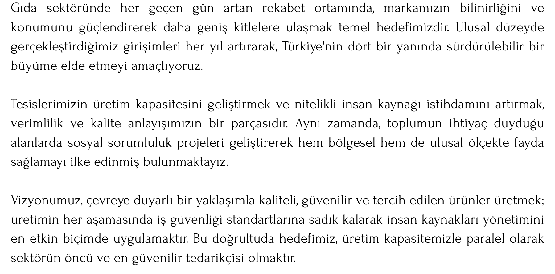VizyonYazı